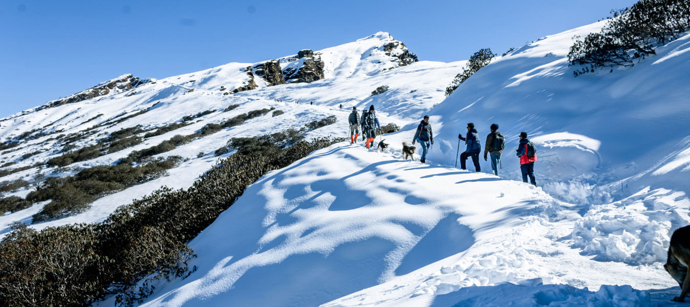 Auli - Chopta Package 